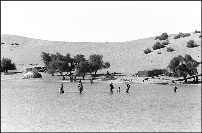 fleuve niger
