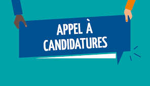 Appel à candidature – DFG-PROGRAMME POINT SUD 2026